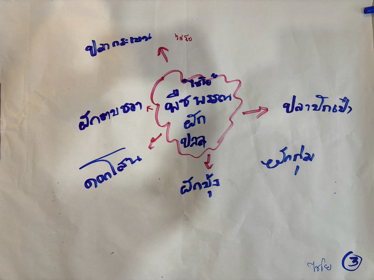 ประชุมกลุ่มย่อยครั้งที่3 อำเภอไชโยค_260526_03